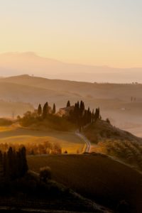 Beautiful vineyards in Tuscany