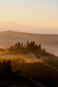 Beautiful vineyards in Tuscany