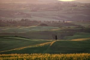 Wine region in Tuscany Italy