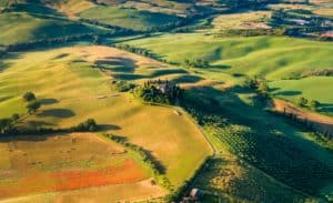 Beautiful Vineyards in Veneto Italy