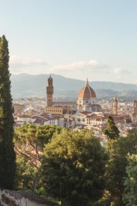 Beautiful Florence Backdrop