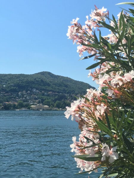 Como lake villa olmo
