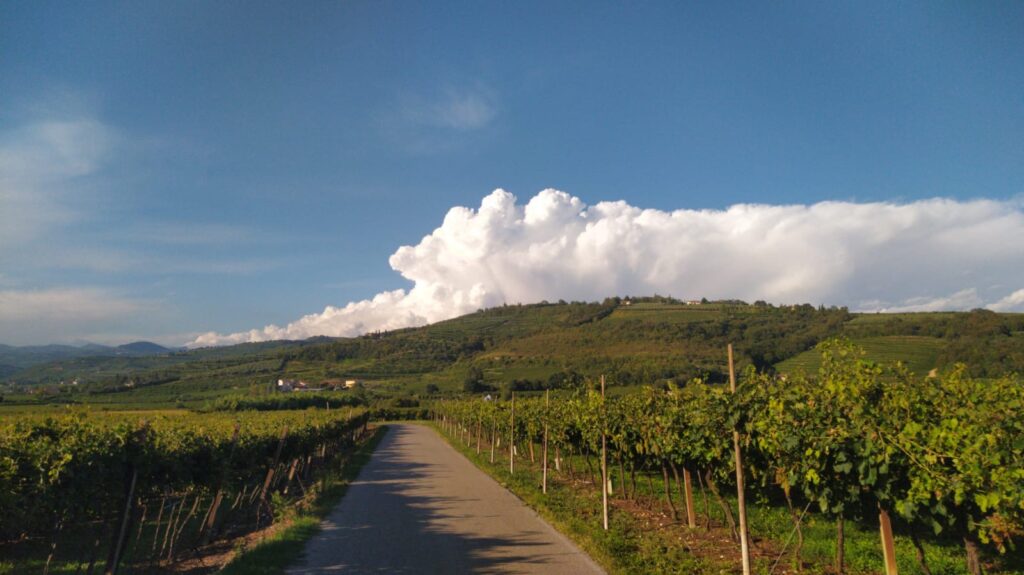 Food-and-wine-tours-Italy